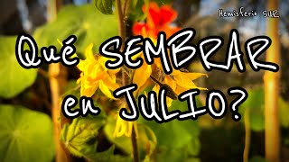 Qué sembrar en JULIO ❄🌱Calendario de Siembra 2024 Mujer Bonita 128 [upl. by Astrahan]