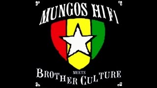 Mungos Hi Fi  Reggae music lover ft Brother Culture [upl. by Risley]