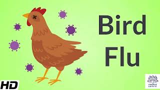 Bird FluAvian Influenza Causes Signs and Symptoms Diagnosis and Treatment [upl. by Clay187]