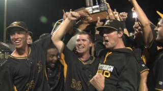 Bradenton Marauders Celebration [upl. by Vinn]