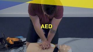 Wiederbelebung mit AED  MAUS Erste Hilfe Kurs  Video Tutorial [upl. by Kaia]