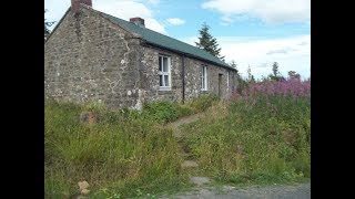 A Night In The Green Bothy  Wark Forest  June 2019 [upl. by Lerej]