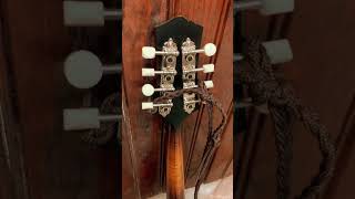 Collings A Style Mandolin rockinrobinguitars [upl. by Lothar]