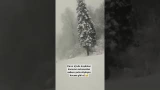 Karın içinde kayboldum😅 travel kartepezirvesi shorts komedi gezilecekyerler snowboard snow [upl. by Rodrique703]