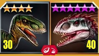 VELOCIRAPTOR Vs INDOMINUS REX  Jurassic World The Game [upl. by Larkins]