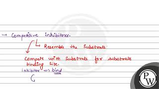 Malonate inhibits the growth of pathogenic bacteria by inhibiting the activity of A Amylase B [upl. by Walsh46]