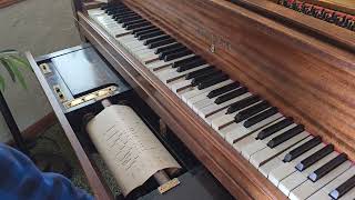 Pal of My Dreams  Harold Wansborough  player piano roll [upl. by Lila740]