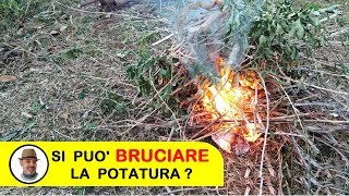 BRUCIARE LA POTATURA [upl. by Laud]