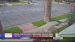 District Attorney continues its review of dog dragging case [upl. by Mharg]