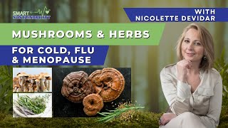 Discover Mushrooms amp Herbs For Cold Flu amp Menopause [upl. by Cicely]