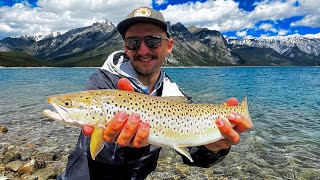 ALBERTA MOUNTAIN FISHING for a Big Brown Trout [upl. by Davon]