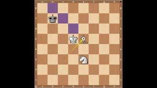 Chess Endgames Bishop and Knight Part 1 [upl. by Hannahc]