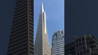 Transamerica Pyramid california sanfrancisco travel [upl. by Nerua]