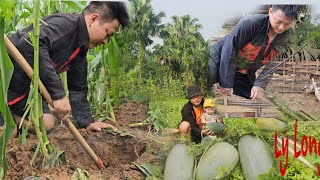 27 year old single father cooks takes care of young children and takes care of the melon garden [upl. by Leeann]