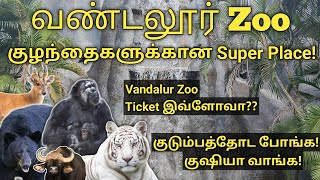 Vandalur Zoo 2024 முழு விவரம்  Arignar Anna Zoological Park  குழந்தைகளுக்கான பொழுதுப்போக்கு பூங்கா [upl. by Eyt]