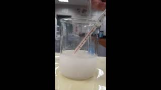 Sodium hydroxide dissolving in water [upl. by Ardme]