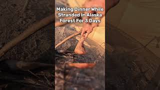 Cooking Dinner While Camping For 3 Days In Alaska Forest [upl. by Kroo246]