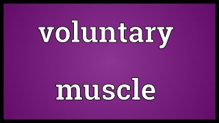 Voluntary muscle Meaning [upl. by Aivle]