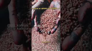 Pashar Chaur  Kamarchhath Tihar  Cg festival  kamarchhath specialoccasionrecipe cgkaleva food [upl. by Ynamreg]