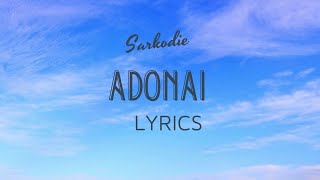 SARKODIE FT CASTRO  ADONAI LYRICS [upl. by Leuqcar14]