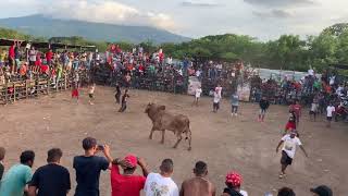 Montadas De Toros Granada Nicaragua 2019 4 [upl. by Erotavlas]