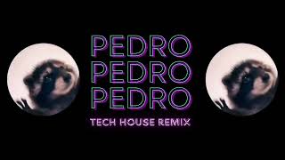 Pedro pedro pedro  Tech House Remix [upl. by Merari420]