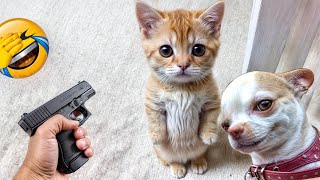 The Funniest Dogs and Cats Videos 2024 To Crack You Up All Long Day 2 [upl. by Okiman]