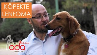 Köpekte Lenfoma Köpek Kanser  Mert Akkök  Kahve Röportaj [upl. by Davenport]