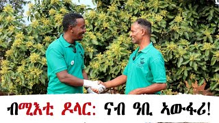 ብሚእቲ ዶላር ተበጊሱ፣ ዓቢ ኣውፋሪ ዝኾነ፣ ኣቶብርሃን መሓሪ [upl. by Enneiviv488]