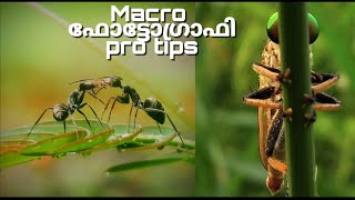 MACRO PHOTOGRAPHY PRO TIPS malayalamMixed media [upl. by Deni]