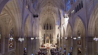 Restoring St Patricks Cathedral [upl. by Moriarty]