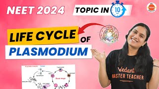 Life Cycle of Plasmodium in 10 Minutes  NEET 2024  2025 Biology  Amrita Maam [upl. by Yajeet]