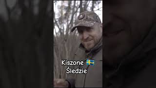 Kiszone Szwedzkie śledzie [upl. by Eenrahc969]