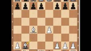 Chess Openings Danish Gambit [upl. by Kcirtapnaes]