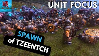 Spawn of Tzeentch  Unit Focus [upl. by Namzed]