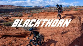 Salsa Blackthorn AllMountain Bike [upl. by Survance810]