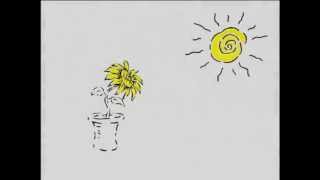 Kit Car Care TVC  Sunflower [upl. by Uy355]