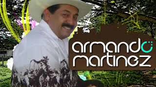 Armando Martinez No lloro porque te fuiste El pimpollito 480p [upl. by Ynahteb633]