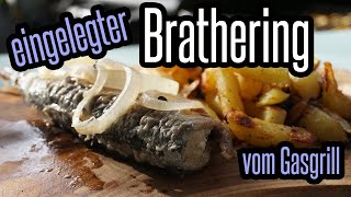 Eingelegter Brathering  Grillhering vom Gasgrill  richtig lecker  BBQ amp Grillen für Jedermann [upl. by Ellehcen]