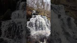 Birks of Aberfeldy After Storm Ashley waterfall scotland nature [upl. by Wymore]