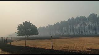 Incendie en Gironde  paysage de désolation à Belin où le feu a sévi cette nuit [upl. by Publia]