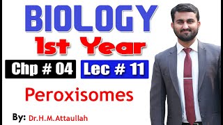 Peroxisomes  Chapter 4  1st year Biology  Lec  11 [upl. by Lemuelah]