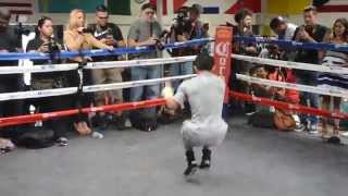 Brian Viloria JUMP ROPE SKILLS Training for Fight vs Chocolatito Roman Gonzalez [upl. by Oskar]