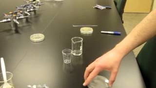 Preparation of Petri Dishes and Agar [upl. by Atnahsal]