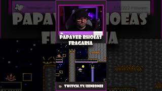 Papaver Rhoeas FRAGARIA kaizo retro newstreamer smw eeneonee nintendo twitch smwkaizo [upl. by Shanta]