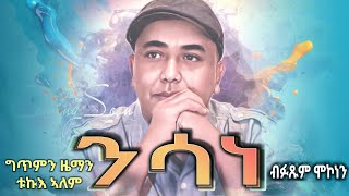 Fitsum Mekonnen  ንሳነ Nsane New Eritrean Music 2024 🙏 [upl. by Ocin]