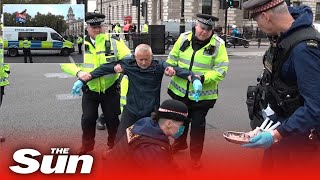 Insulate Britain protester glues hands to police van as more arrests made [upl. by Delfeena]