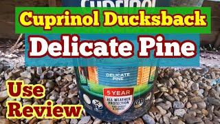 Cuprinol Ducksback Delicate Pine Fence and Shed Paint Use Review Colour Fidelity [upl. by Arman]