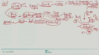 Neumología  Insuficiencia respiratoria aguda 1 [upl. by Prospero21]