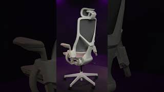 Ergonomic Office Chair  Eureka Ergonomic [upl. by Elegna]